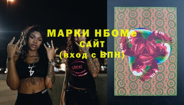 соль ск Дмитров