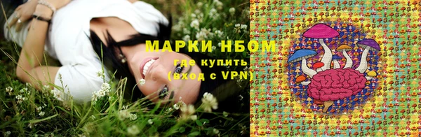 дурь Гусев