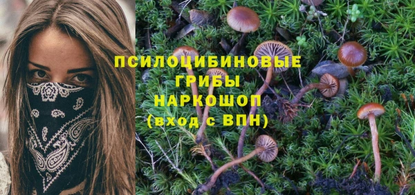дурь Гусев