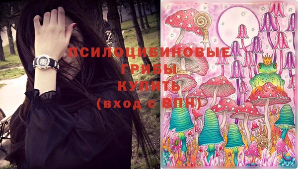 ALPHA-PVP Дмитриев