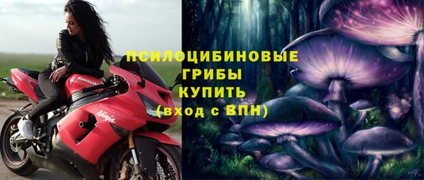 дурь Гусев
