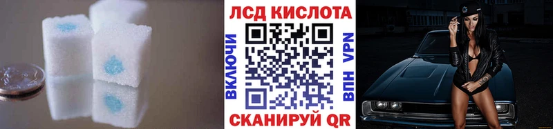 Купить закладки  Заводоуковск  ЛСД экстази ecstasy 