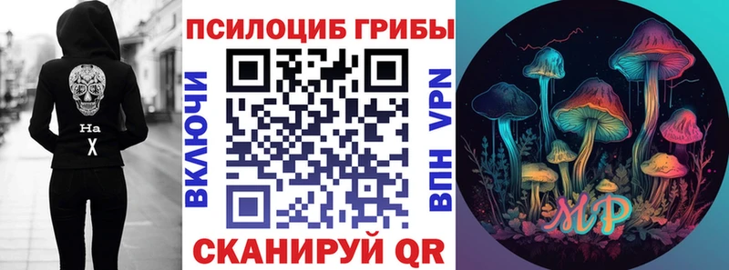 Галлюциногенные грибы прущие грибы  Купить  Заводоуковск 