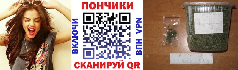 Купить закладки  Заводоуковск  Шишки марихуана MAZAR 